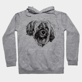 Tibetan Terrier Face Design - A Tsang Apso Christmas Gift Hoodie